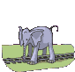 elefante binari treno.gif